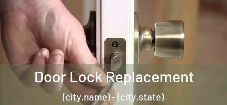  Door Lock Replacement (city.name) - (city.state)